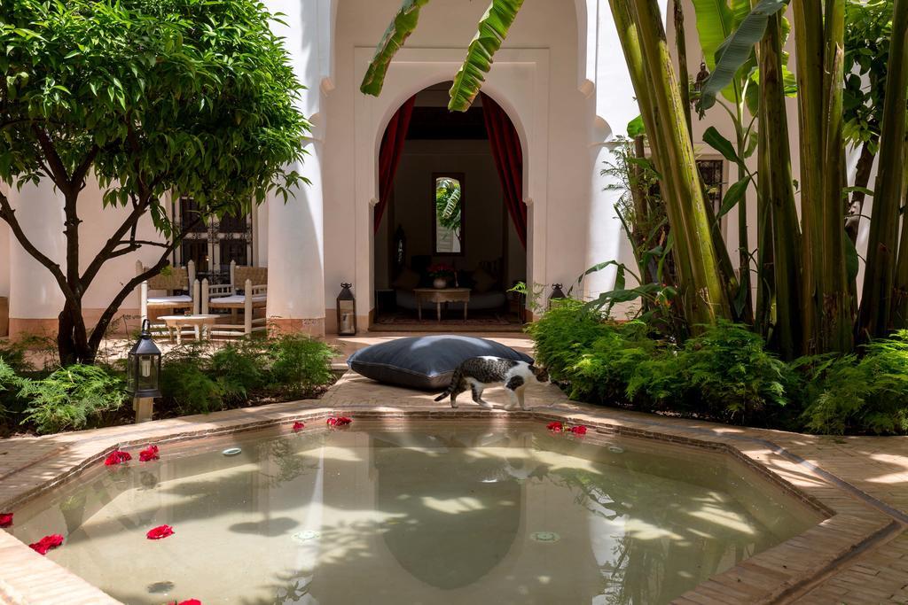 Le Riad Berbere Marrakesh Exterior photo