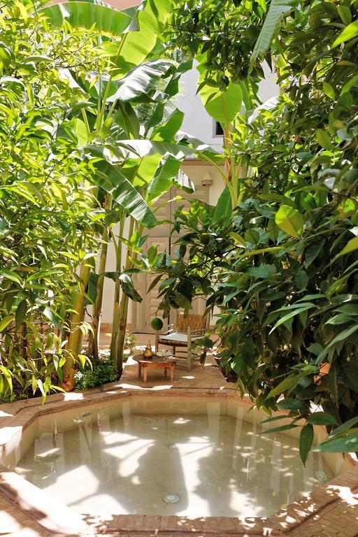 Le Riad Berbere Marrakesh Room photo